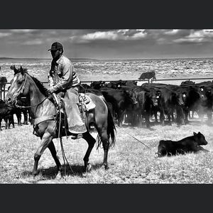 Meet your Posher, Peyton